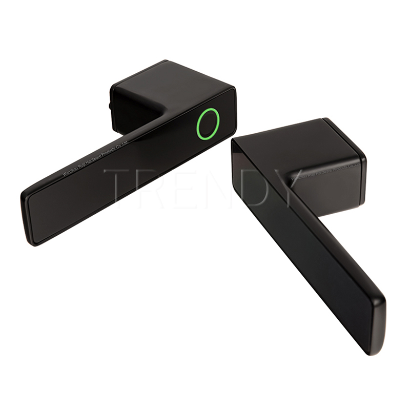 Electronic Smart Lock Handle Two Part Removable Piece Cover Door Lock Tt Tuya APP Fingerprint Door Handle (STS006)