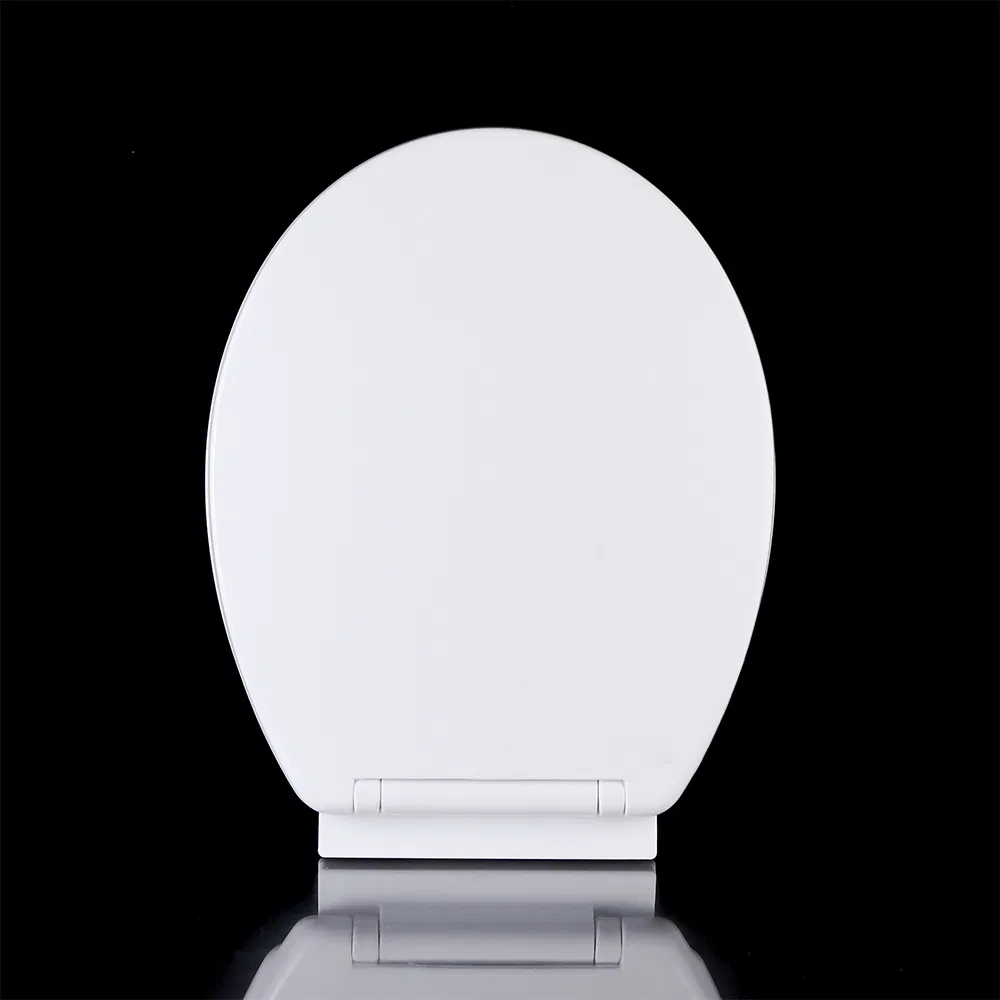 High Quality New UK European market style bus toilet seat for lavatory