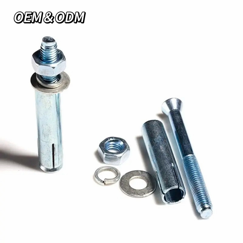 M6 M8 M10 Stainless Steel SS304 316 Door Frame Fixing Concrete Expansion Anchor Bolt