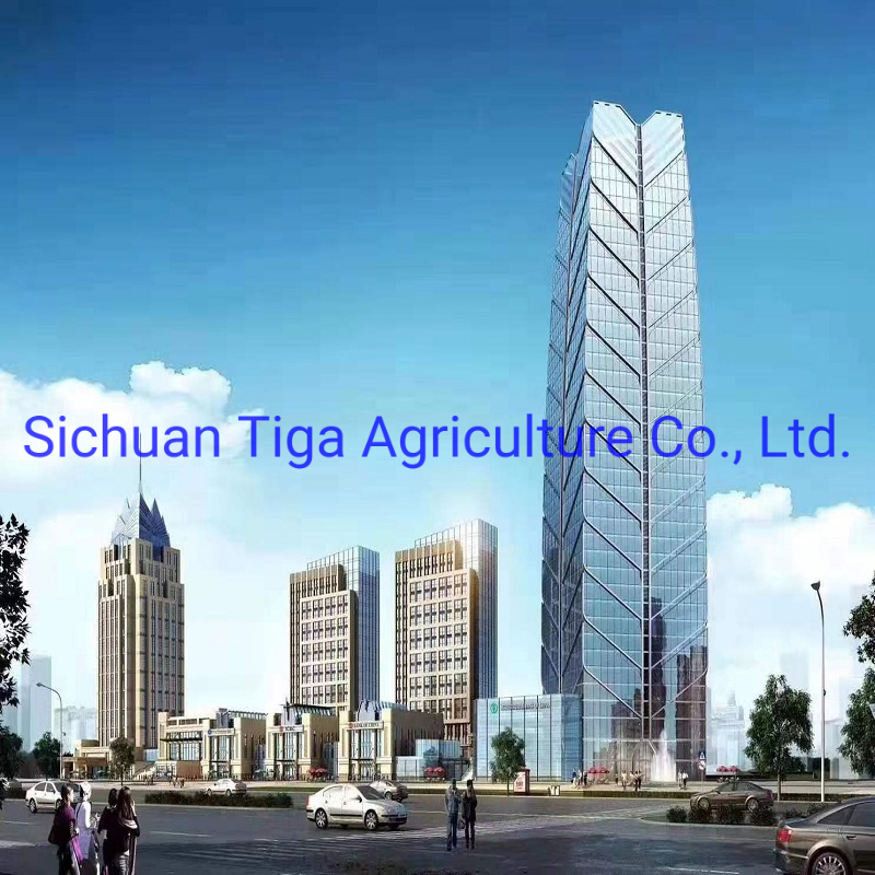 High Strength and High Seismic Resistance Fast Installation Prefabricated Steel Structure Business Center