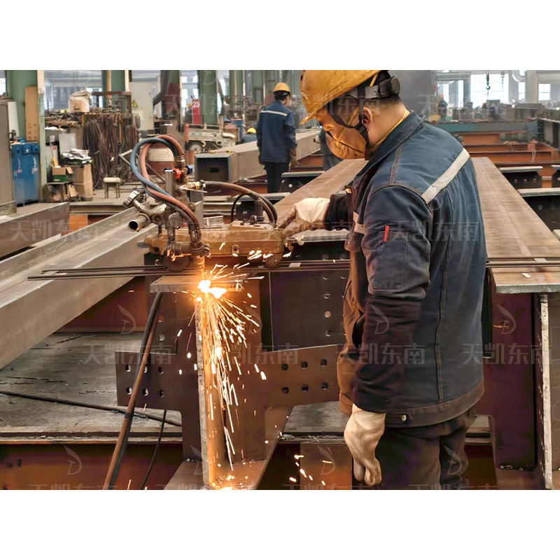 Spacious Steel Structure Building for Premium Car Showroom Display
