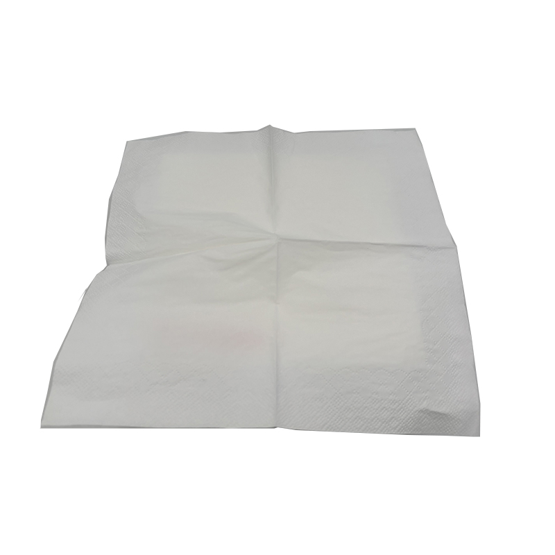 2ply Color Printing Restaurant Dinner Napkin for Home and Office