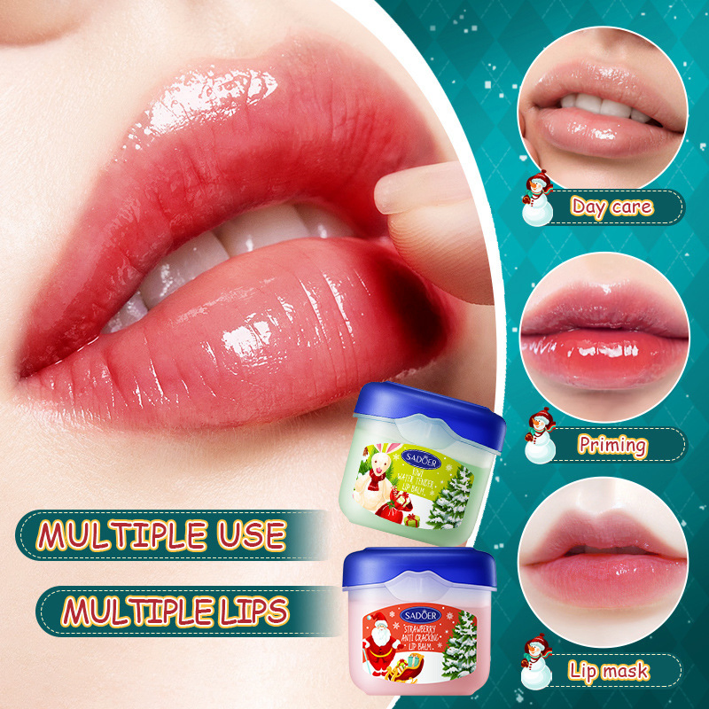 Christmas Lip Balm Gift Box Moisturizing Lip Balm