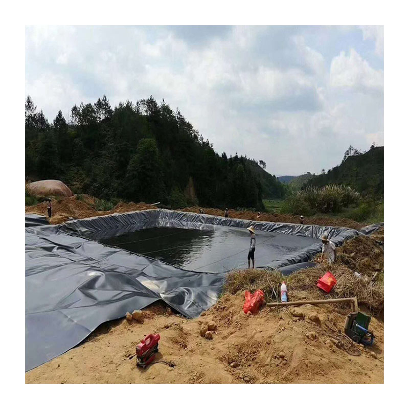 Factory Price HDPE Geo Membrane Liner 0.5mm 1mm 2mm Thickness Geomembrane for Dam Fish Farm Tank Pool Pond Use