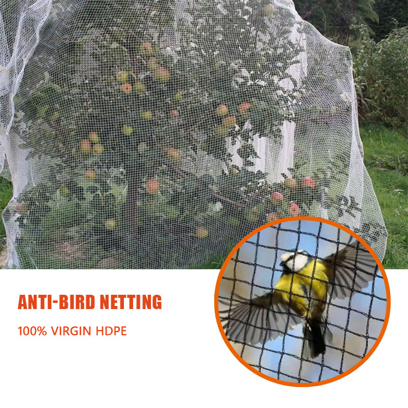 HDPE Protection Net for Crop Barrier and Orchard Anti-Bird Netting
