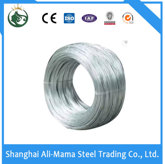 ASTM ISO GB Galvanized Steel, Sheet Stainless Steel, Pre-Painted Steel Coil, Steel Plate