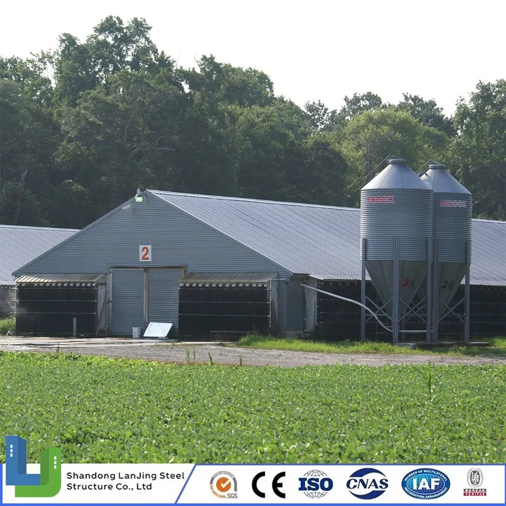 Steel Structure Layer Egg Chicken Broiler Poultry House Prefabricated Building for Ethiopia/Uganda/Zimbabwe