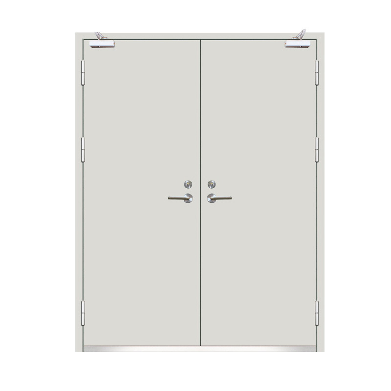 UL Listed Fire Rated Iron Door with Custom Glaze Option