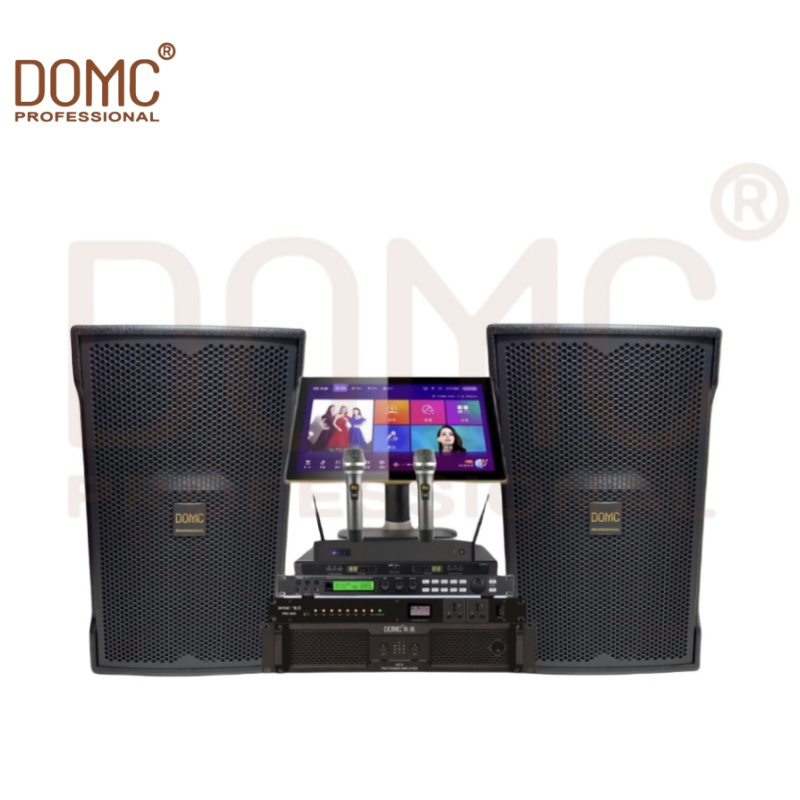 Domc K215 PRO Stage Speaker - High-Power 15-Inch Performance Sound