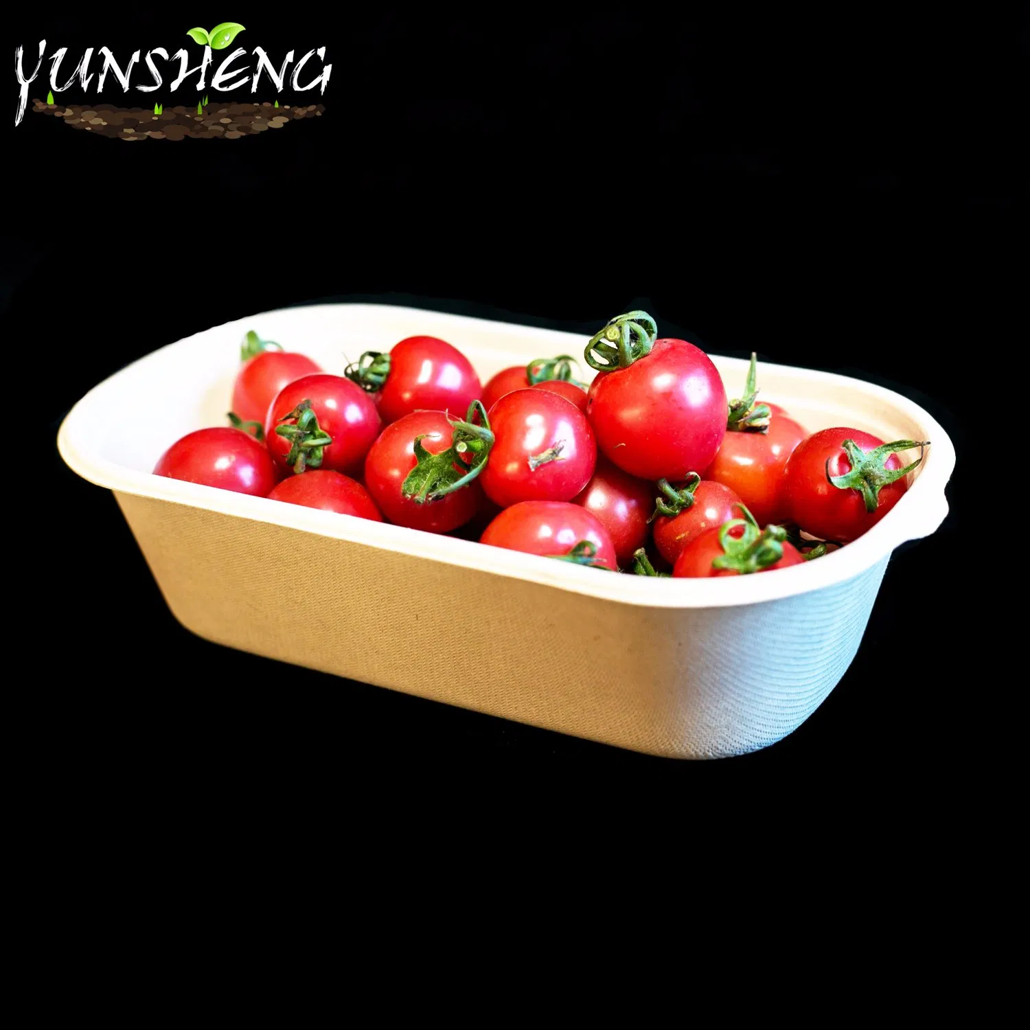 Disposable Biodegradable to Go/Take out/Bio/Compostable/Take Away/Eco Friendly Food Containers Bagasse Wheat Straw Pulp