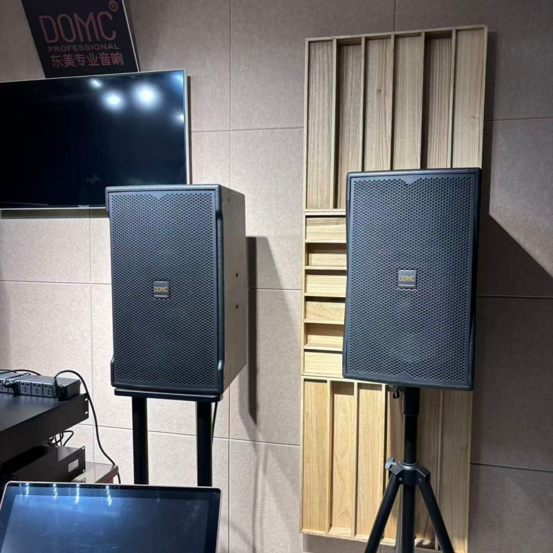 Domc K215 15-Inch Speaker with Wide Frequency Response and 99dB Sensitivity