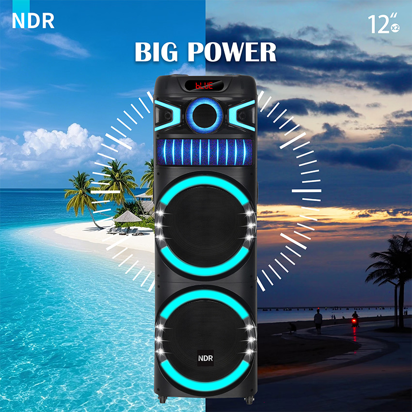 Портативная акустика NDR-M22003 на тележке