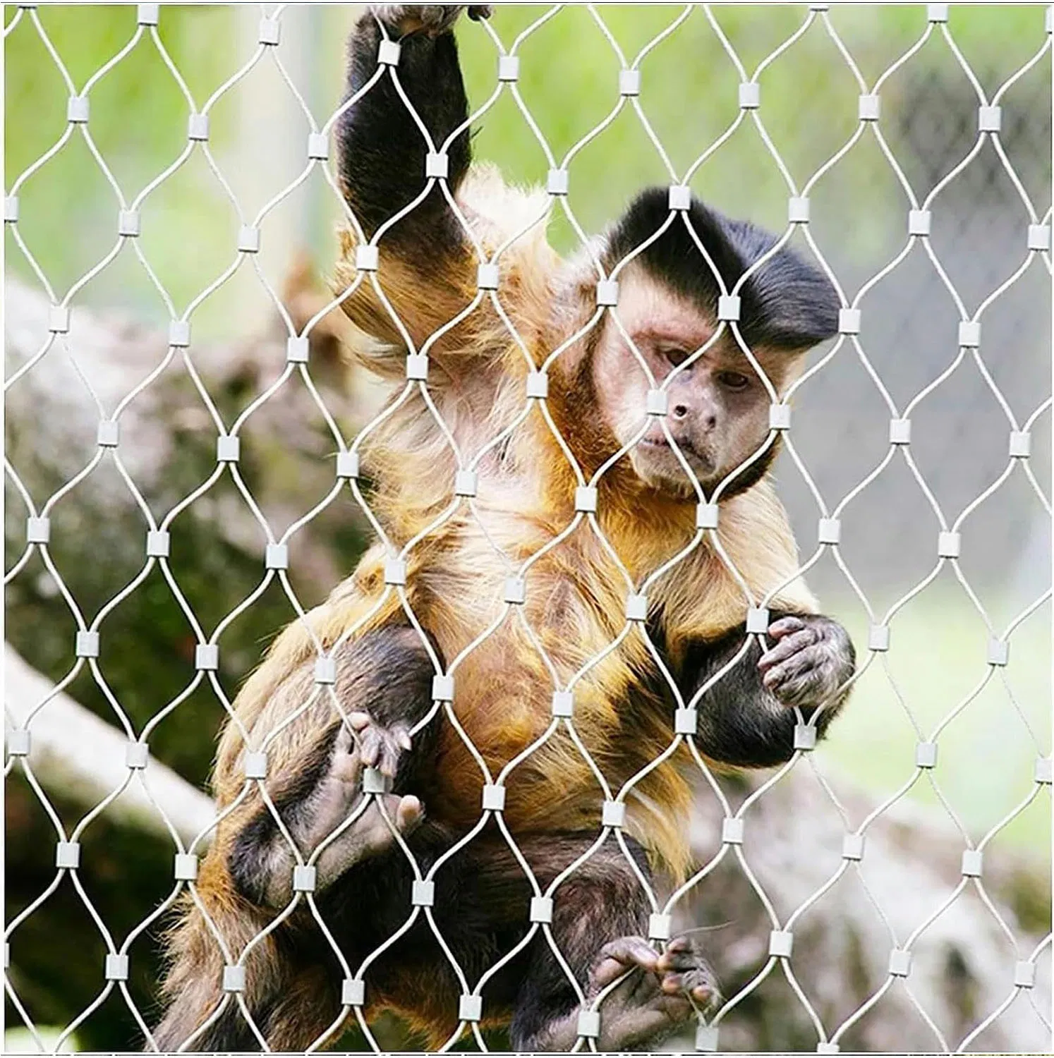 Flexible Strong Strength Stainless Steel Rope Mesh Netting Hand-Woven SS304 Wire Rope Mesh for Sale