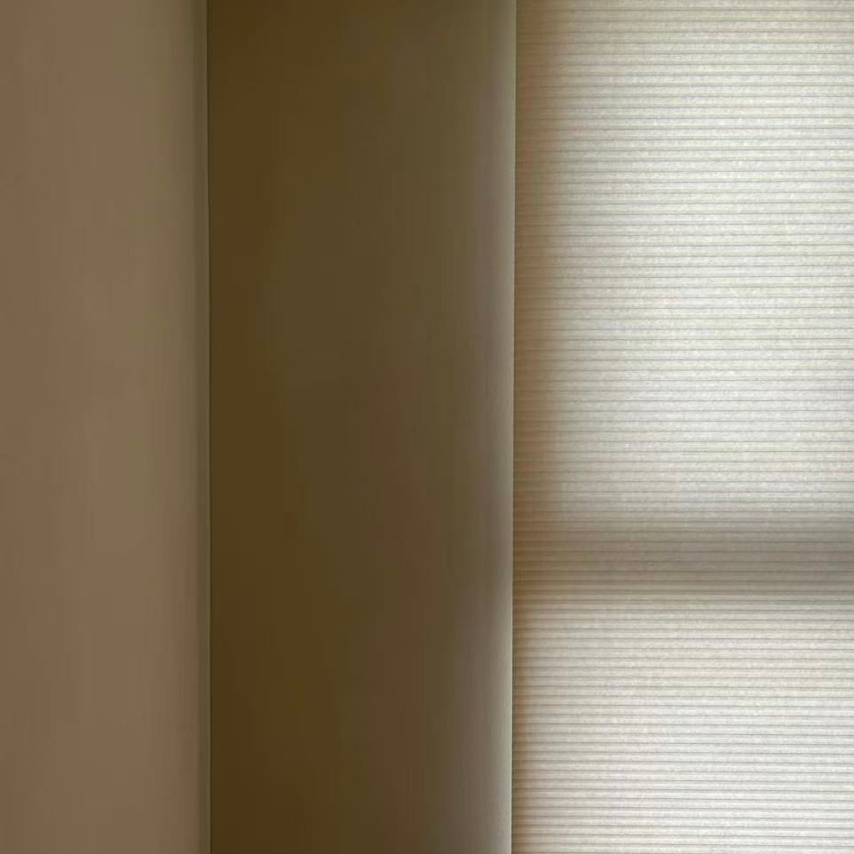 Customizable Versatile Day and Night Light Control Honeycomb Blinds Fabric