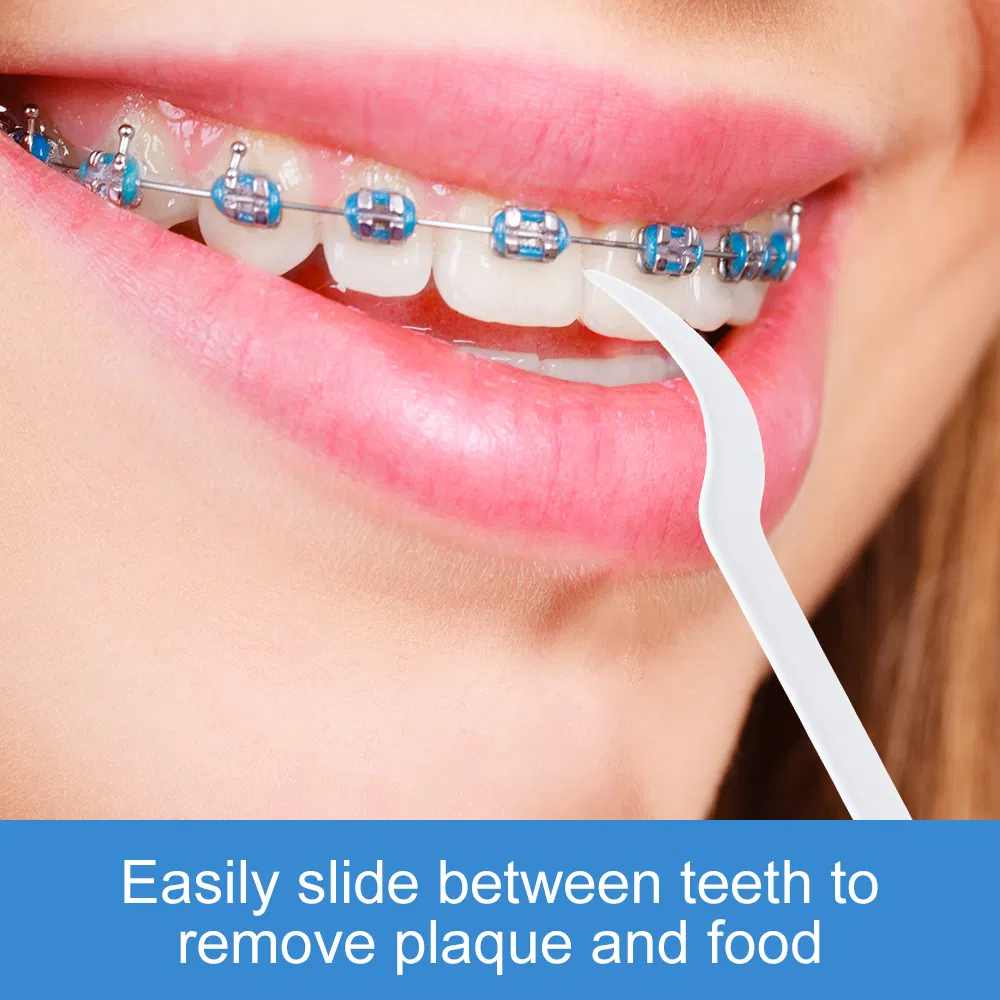 Bulk Biodegradable Personalized Eco Friendly Flosser Vegan Silk Tooth Nylon Dental Floss Pick