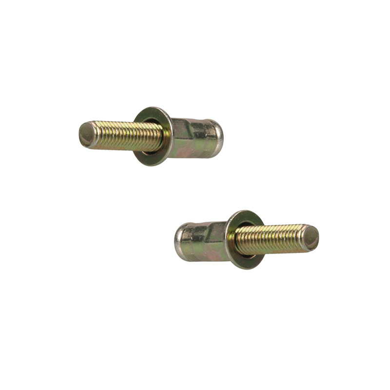 Customized Non-Standard High-Strength Expansion Bolts