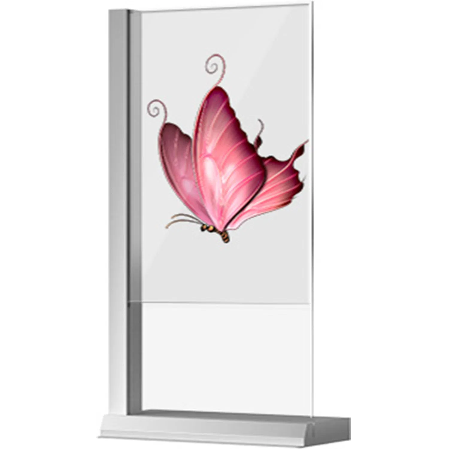 55inch  oled display monitor