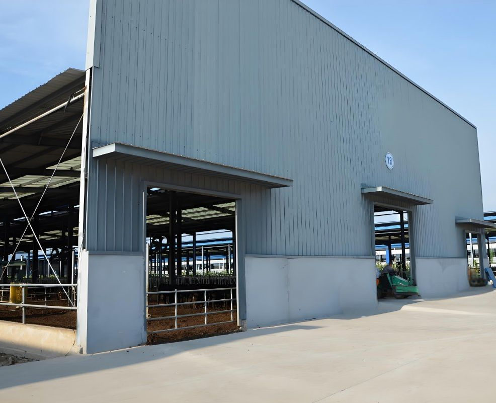 Cost-Effective Energy-Saving Steel Structure Cattle Shed Construction Solution