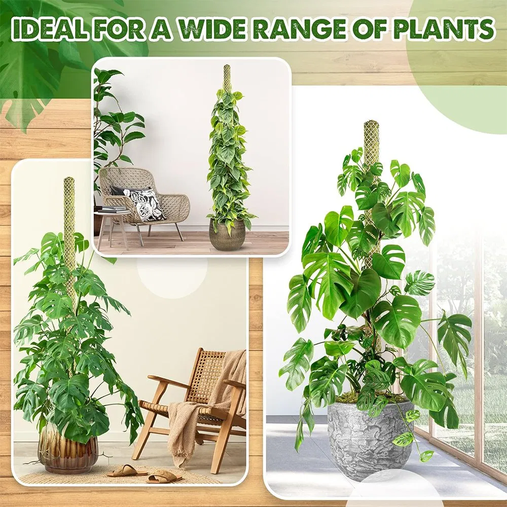Durable White Plastic Grid Aerial Root Growth Moss Pole Support for Pothos & Tropical Climbing Plants