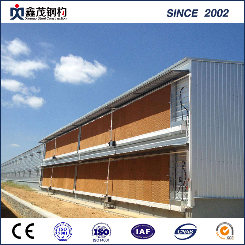 Light Steel Structure Agriculture House for Feed Mill / Livestock Farm /Coldroom