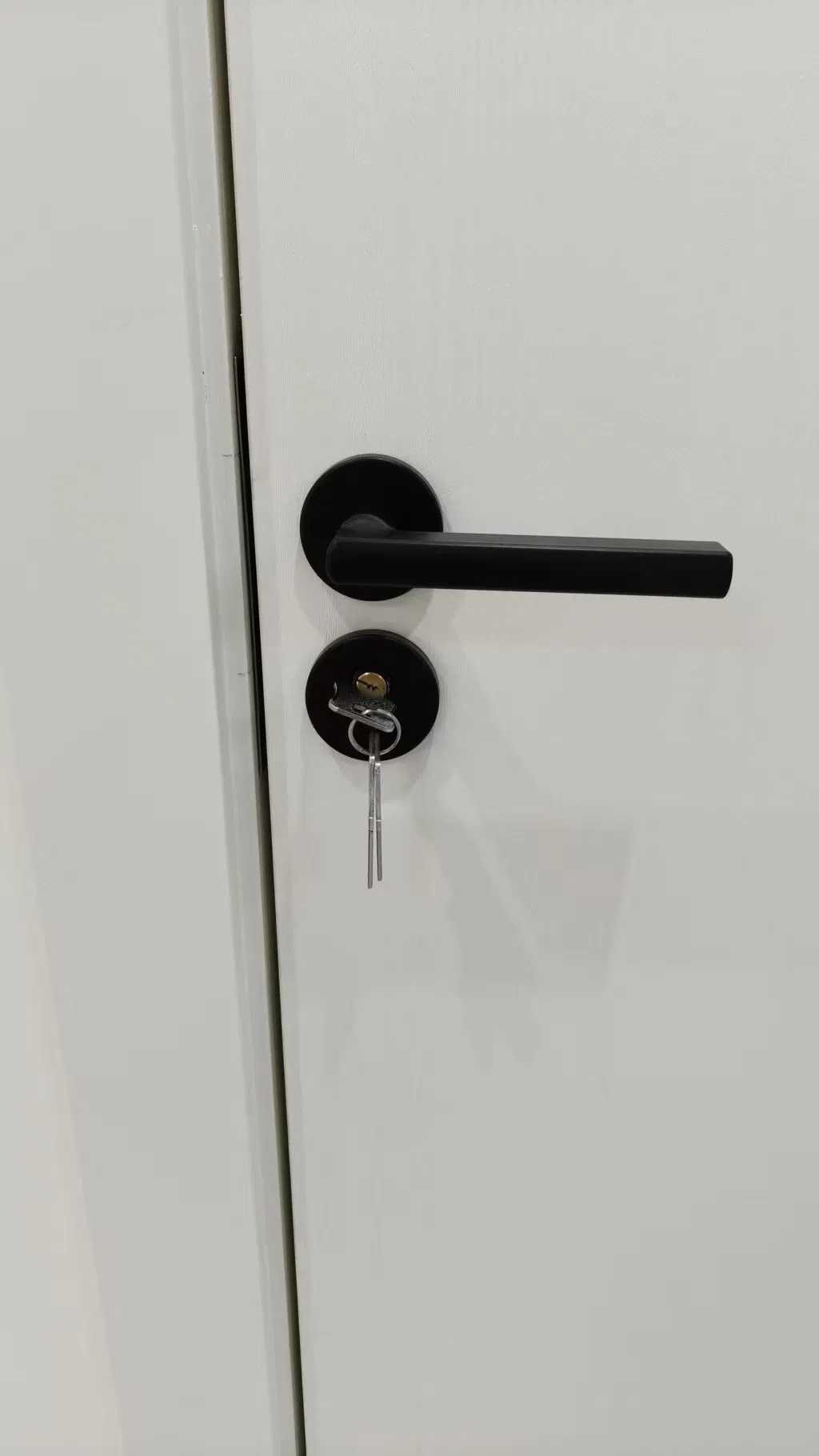 Дверь WPC/PVC Win-Star с отделкой под дерево