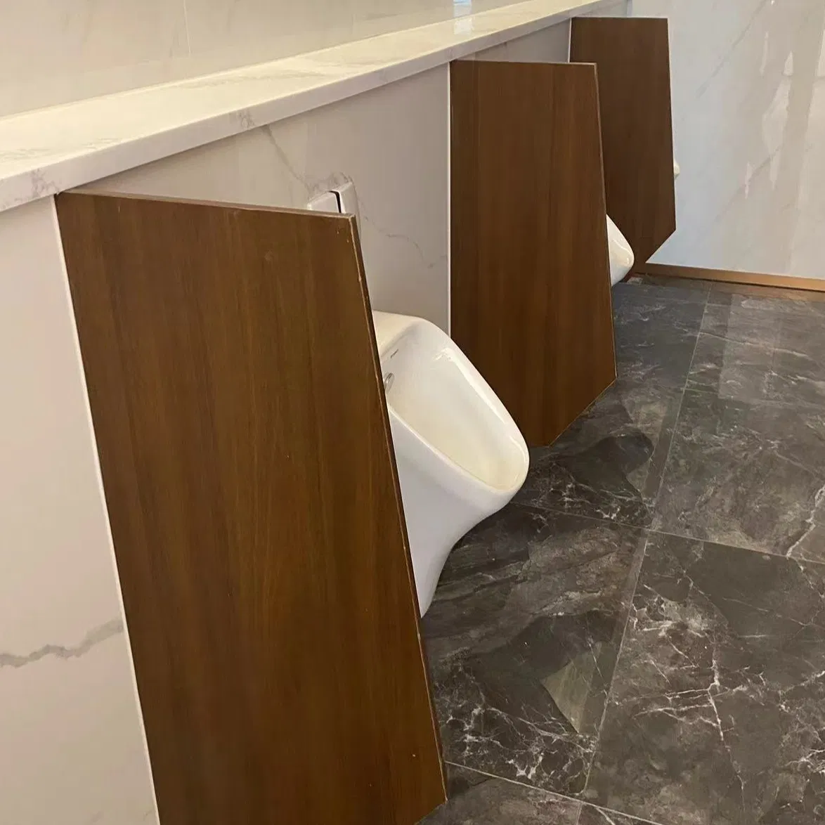 Public Male Toilet Urinal Screens Dividers