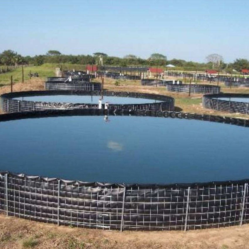 2mm HDPE Pond Pool Liner Waterproof Plastic Dam Liners HDPE Black Geomembrane