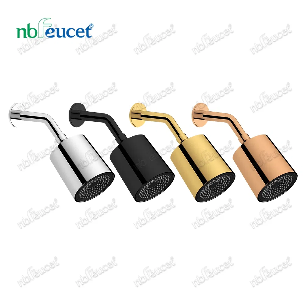 Modern ABS Chromed Wall Mounted Shower Head