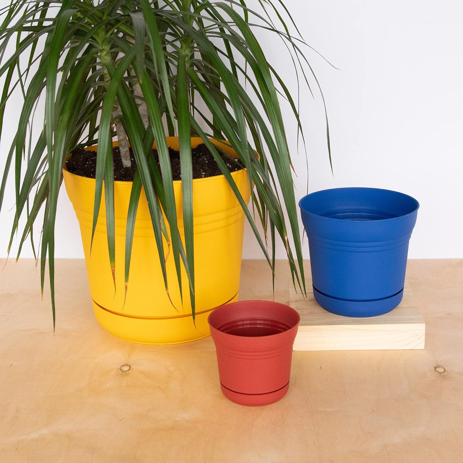 Горшки садовые для бонсай 11 литров