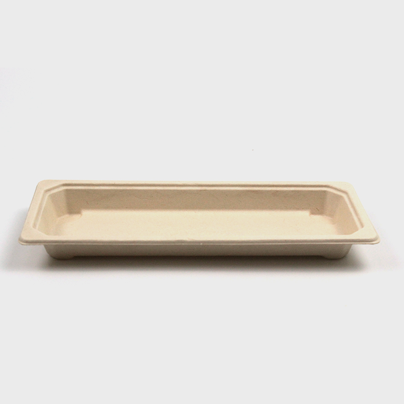 Eco-Friendly Disposable Sugarcane Food Container Bagasse Sushi Plate