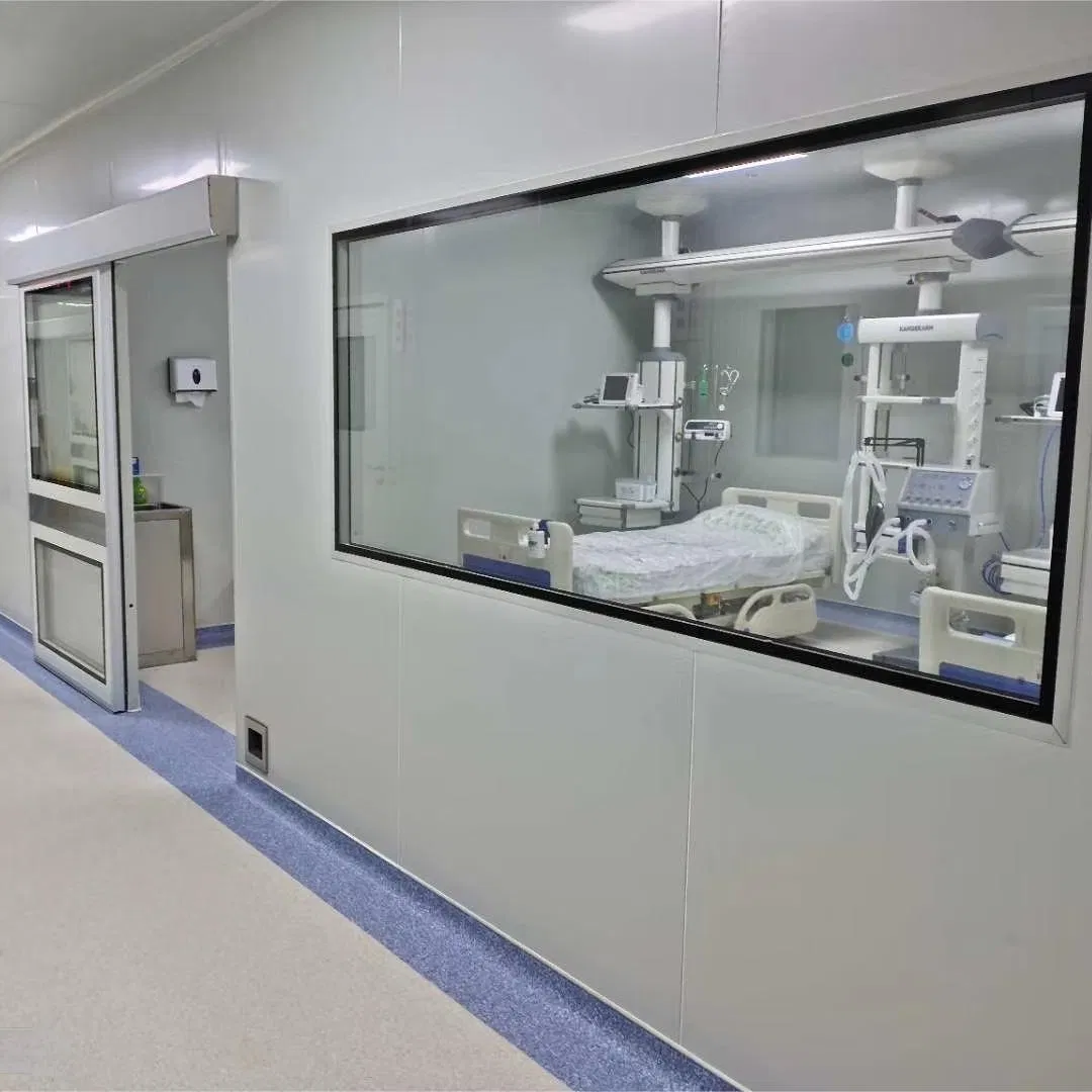 High-Performance Stainless Steel Clean Room Window with Germ Shield