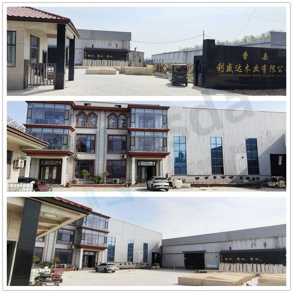 Grade AA Straight Grain Pattern Paulownia Edge Glued Board for High Quality Furniture