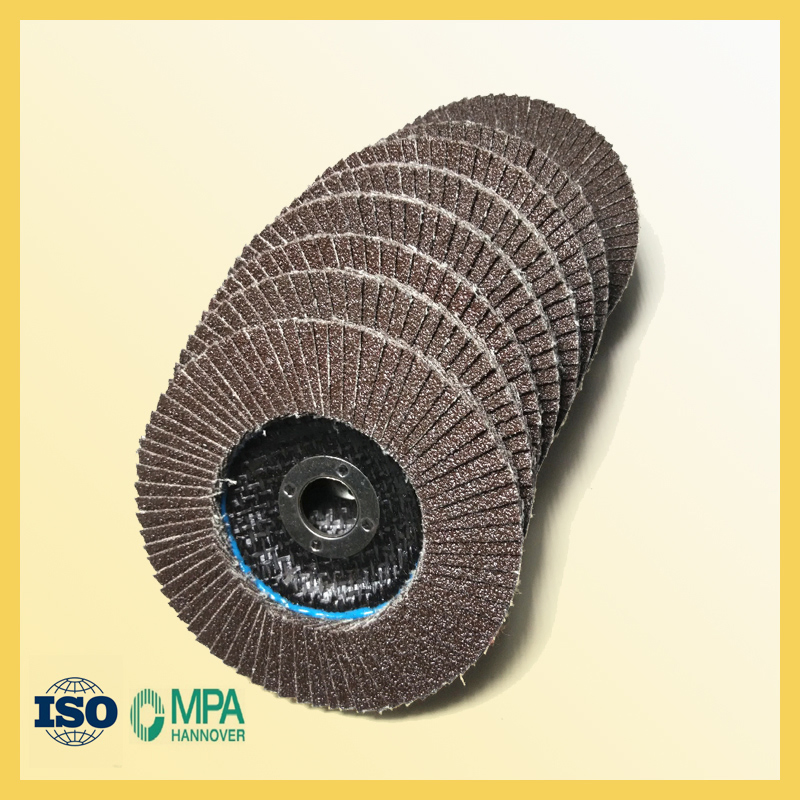 100X16mm Flap Disc for Polishing Metal