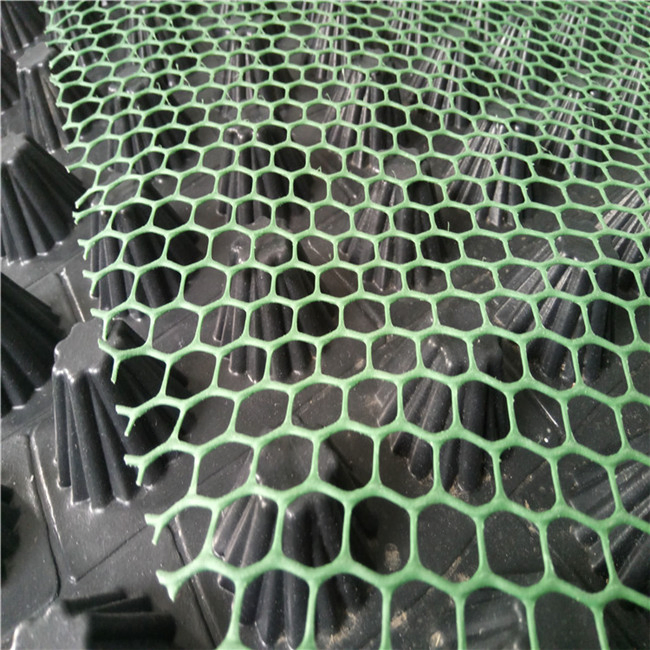 3D Composite Drainage HDPE Geonet in Landfill Network