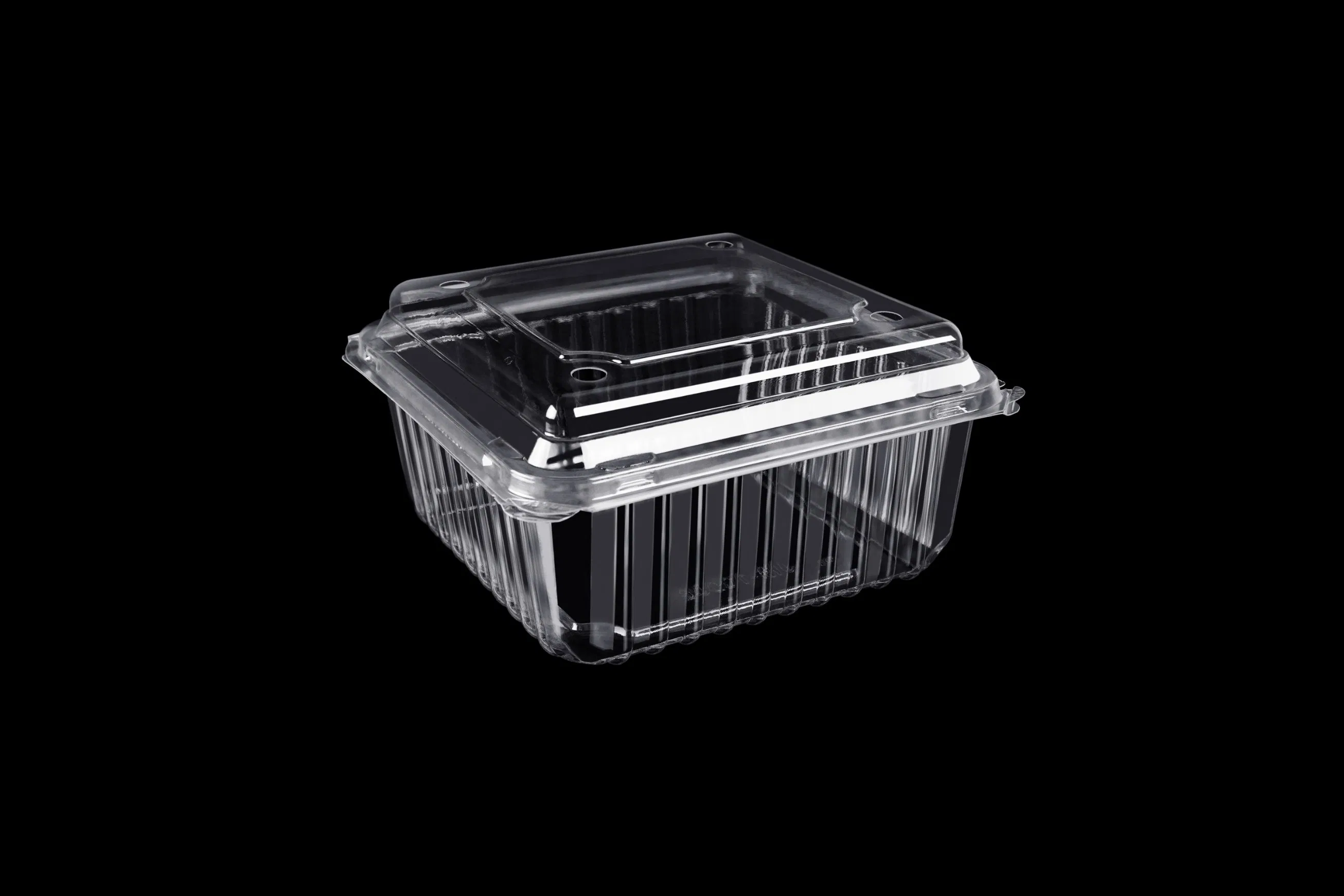 Clamshell Blister Packaging Wholesale Transparent Takeout Boxes Plastic Fruit Tray Food Packaging Container
