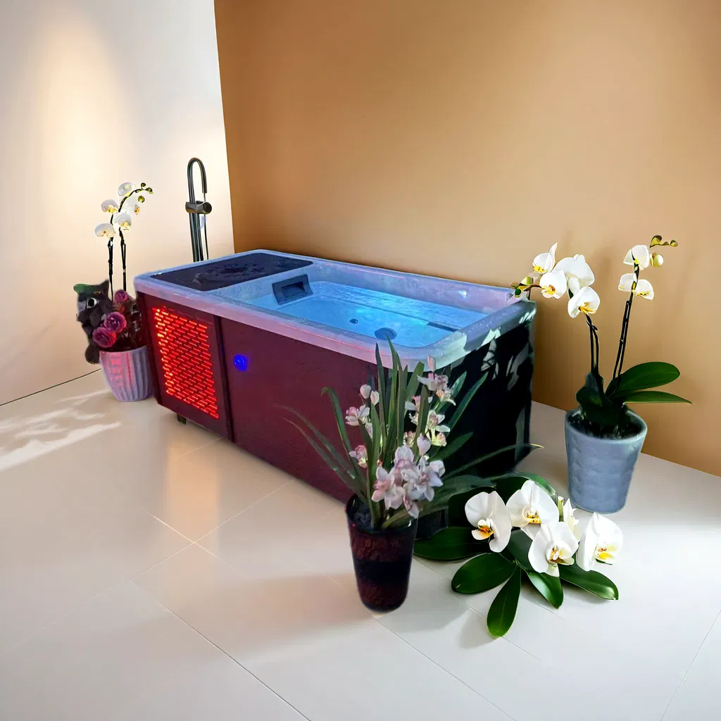 Adult Athletes Physical Recovery Acrylic Bathtub Freestanding Massage Bathtub Ice Bath Tub