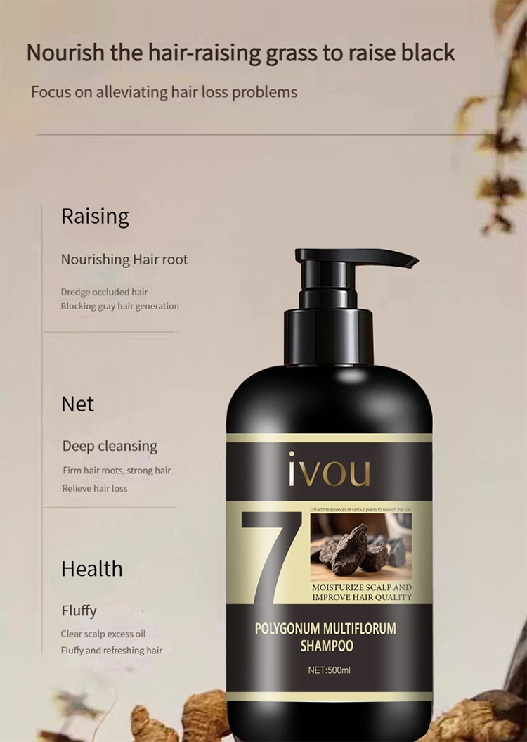 Wholesale Anti Hair Loss Hair Care Shampoo for Oil Control