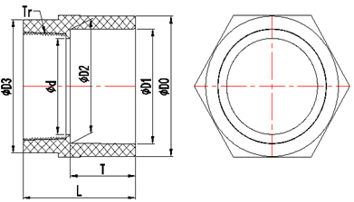 NPT CPVC Pipe Fitting Female Thread Adaptor for Industry