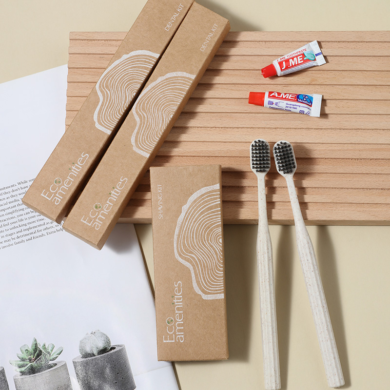 5-Star Hotels Disposable Toothbrush Kit with Customized Logo