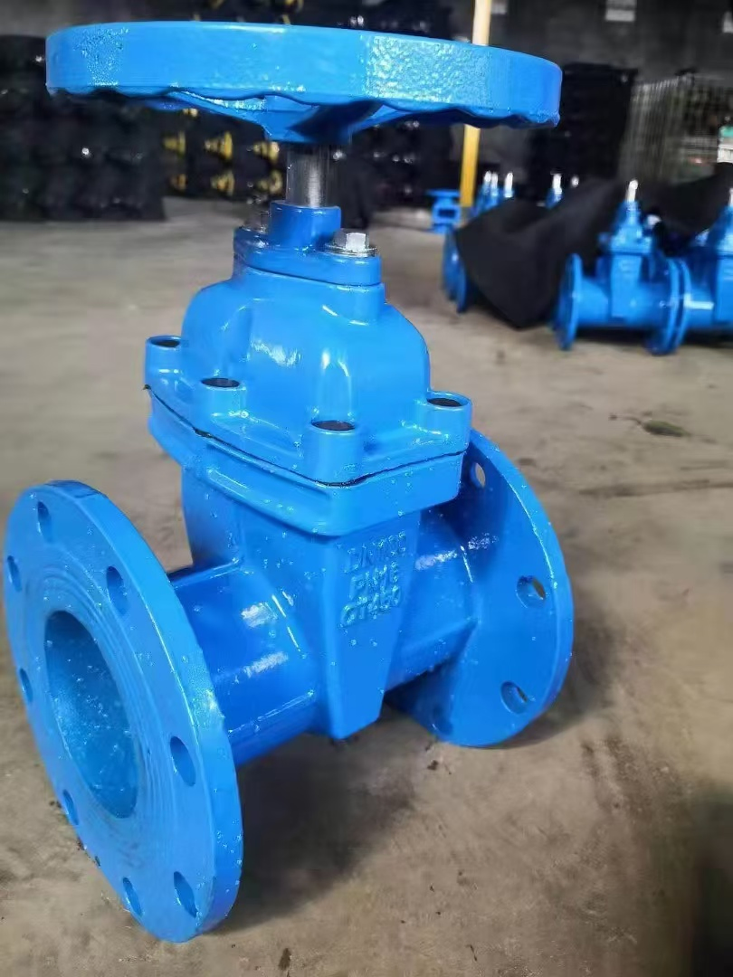 BS En 599 Standard Ductile Iron Gate Valve with Epoxy Coating
