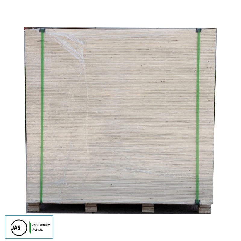 18mm Laminated Biz Standard Construction Formwork Commercial/Marine Plywood