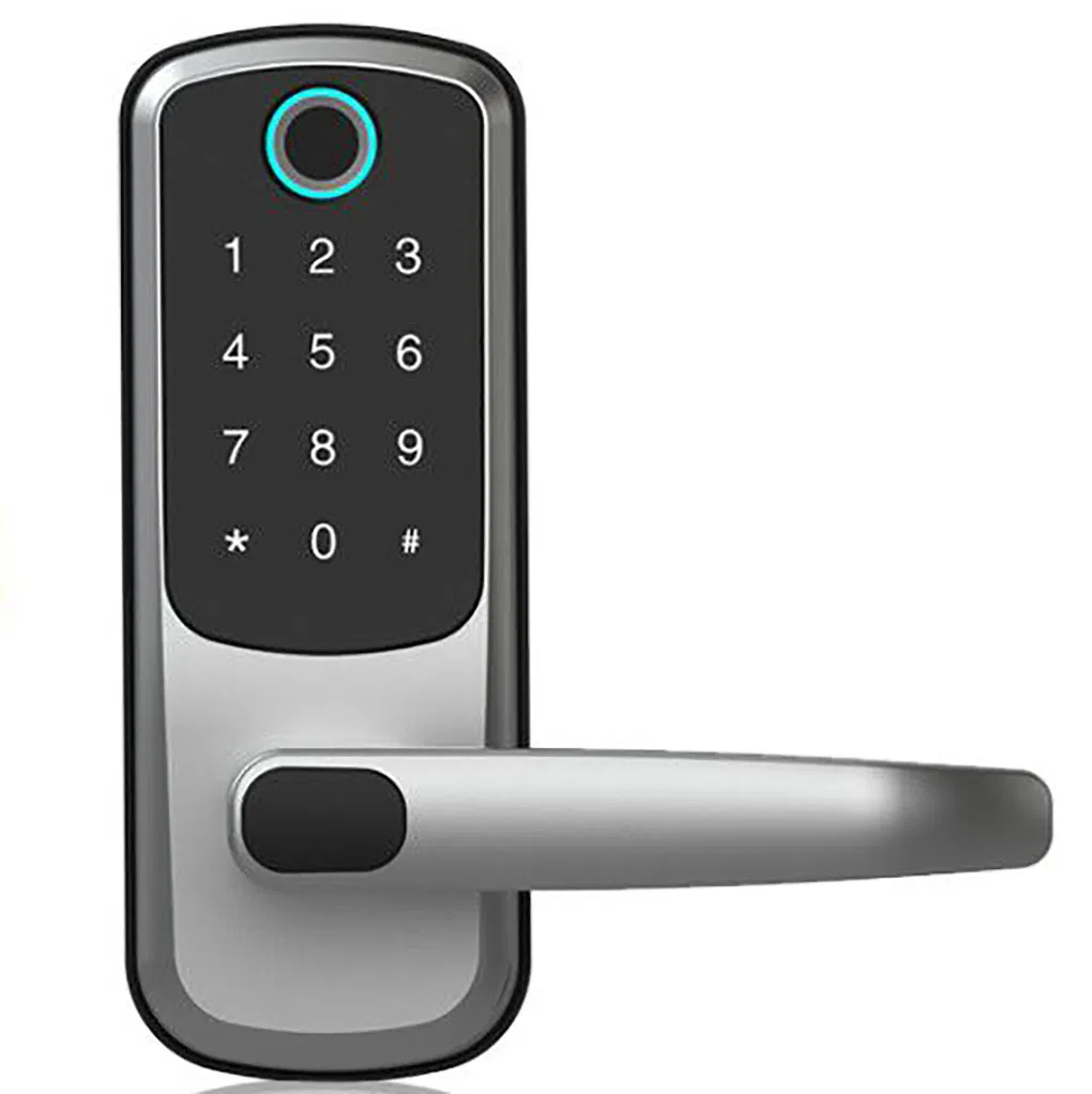 WiFi Bluetooth Door Handle Security Digital Keyless Fingerprint Door Lock