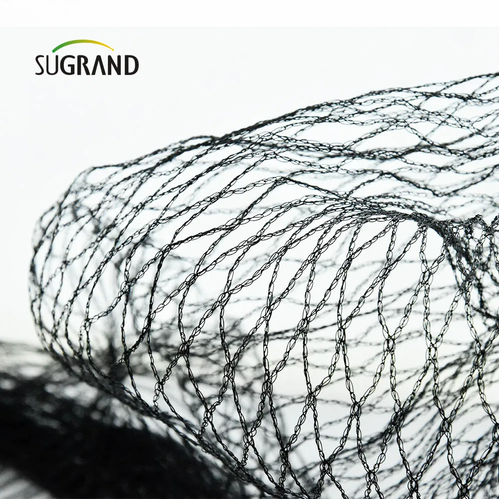 Sophisticated Technology Invisible Bird Netting Antibird Netting Anti Bird Net for Rice Field Anti Bird Net for Garden