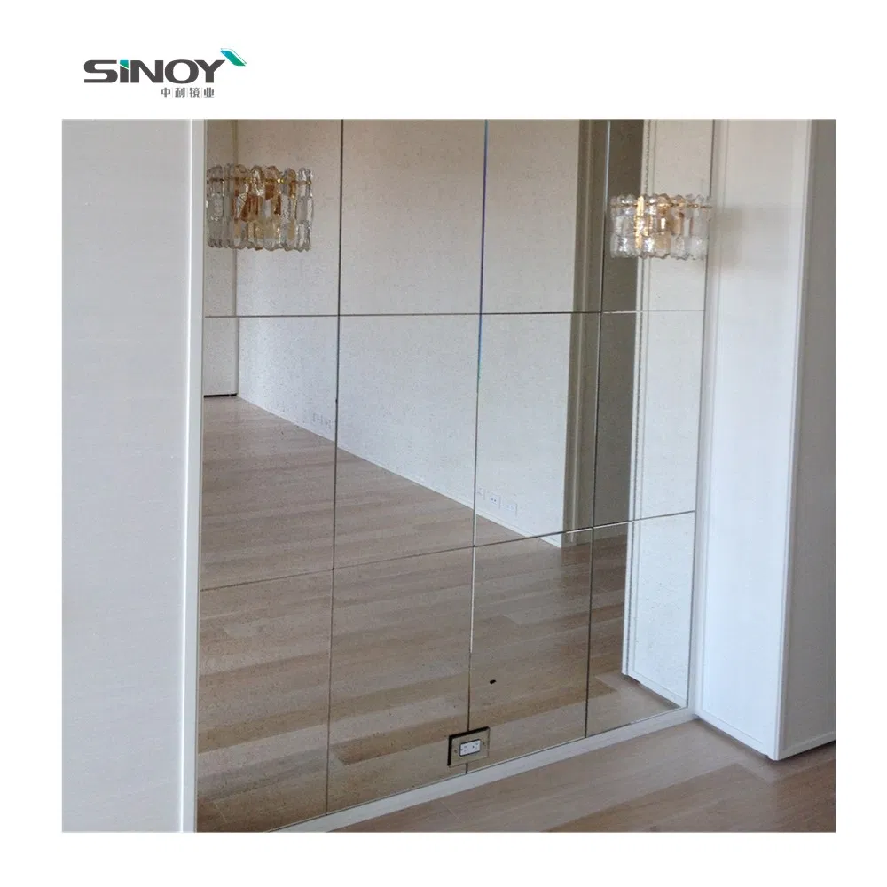 Vintage Luxury Floor Stand Mirror Full-Length Large Dressing Wall Mirror Pieces in Bedroom Changing Room Cloakroom Locker Room