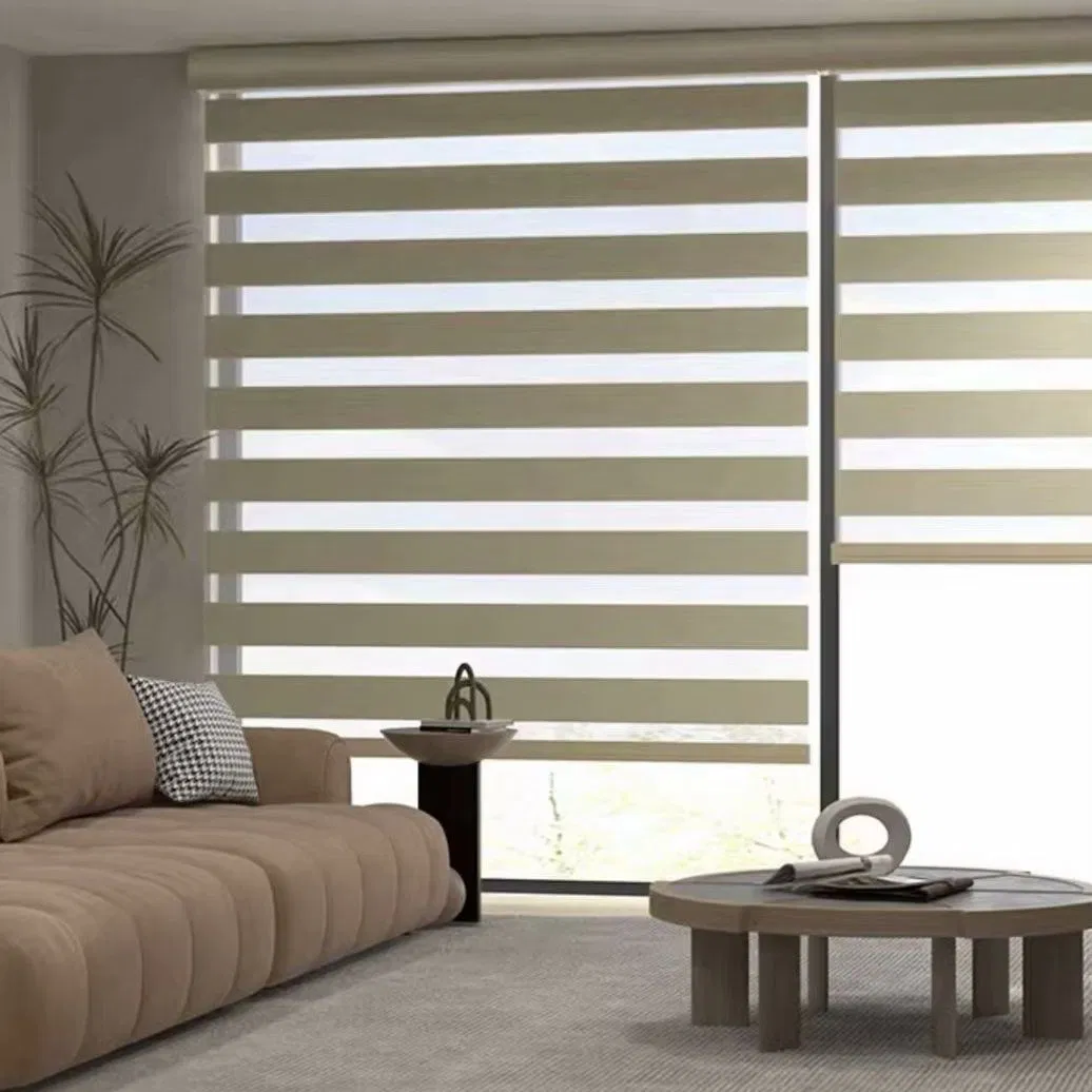 Vikson Factory Day and Night Blackout Roller Blinds Darkening Dual Shade Zebra Blinds
