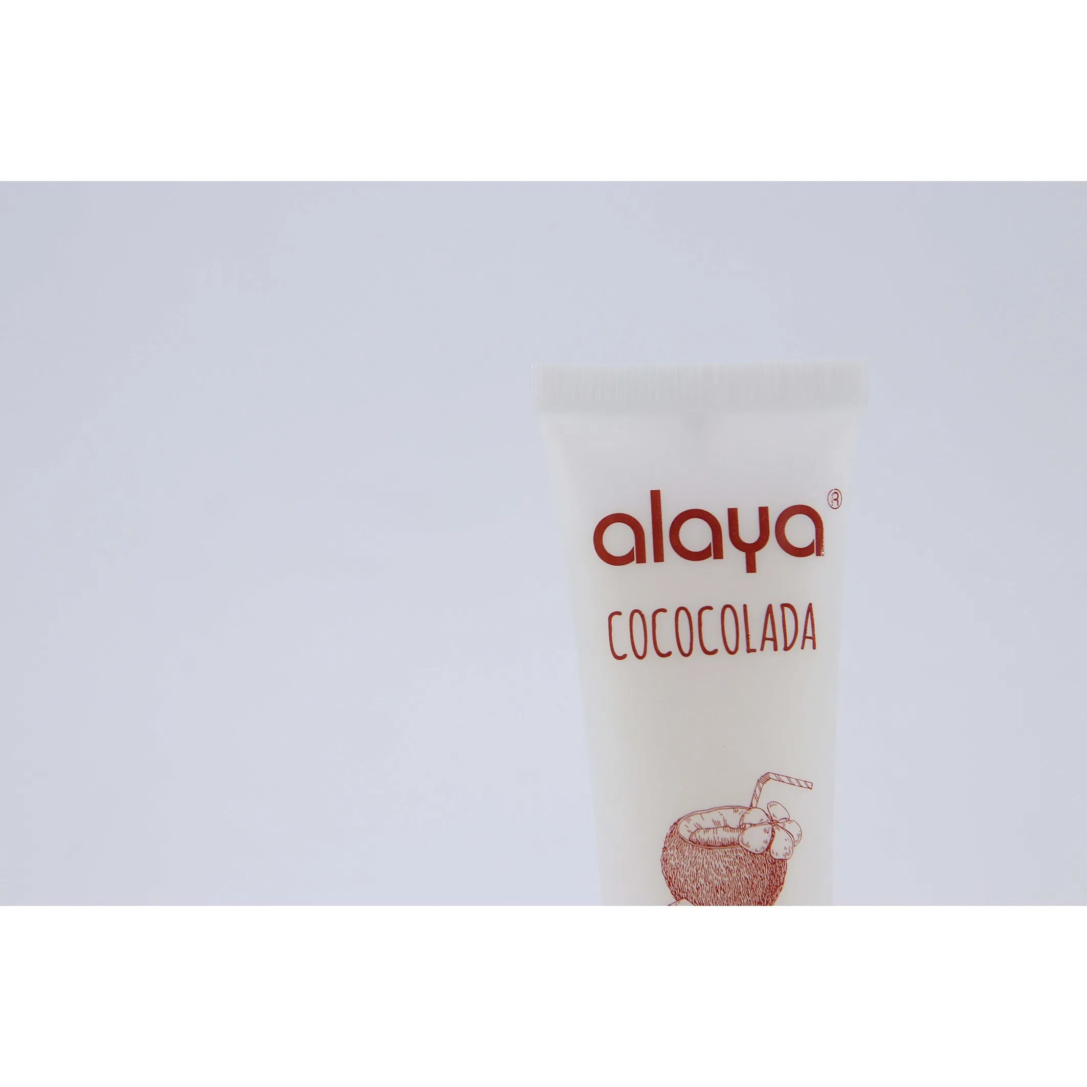 Hotel Supplier Supplies 25ml Shampoo and Conditioner
