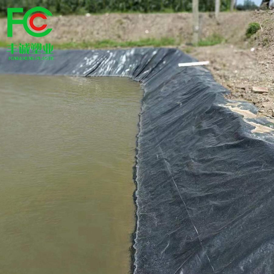 0.3mm 0.5mm 3mm Aquaculture Pond Liner Fish Tank Shrimp Pond Farm Liner