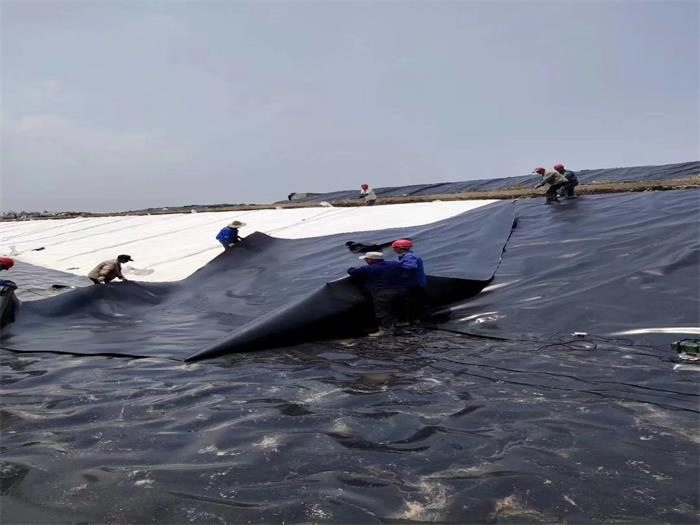 High Strength Waterproof Geomembrane Pond Liners Canvas Fish Tank Tarpaulin for Biofloc Fish Farming