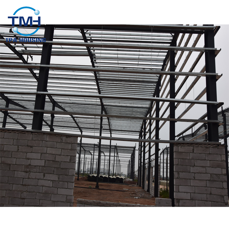 Fast Assembled Warehouse Storage Shed Prefabricated Building Construction Chicken House