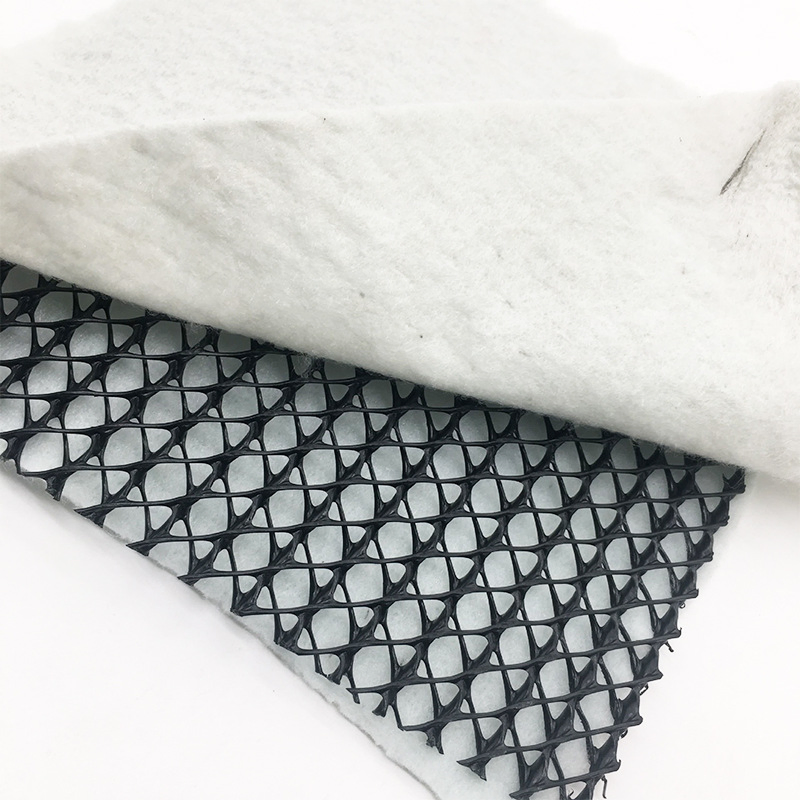 China Mat Composite Building Material Drainage Board HDPE Geonet with High Quality